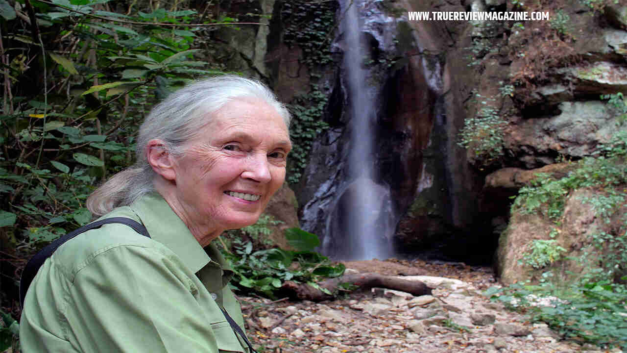 Dr. Jane Goodall's Aspen Visit: Inspiring Hope and Youth Engagement in ...